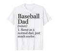 Baseball Dad Definition Funny T-Shirt - Unique Graphic for Adults - T-Shirt, Sweatshirt, Hoodie