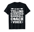 Im Not Yelling This Is Just My Baseball T-Shirt - Aesthetic Graphic Unisex - T-Shirt, Sweatshirt, Hoodie