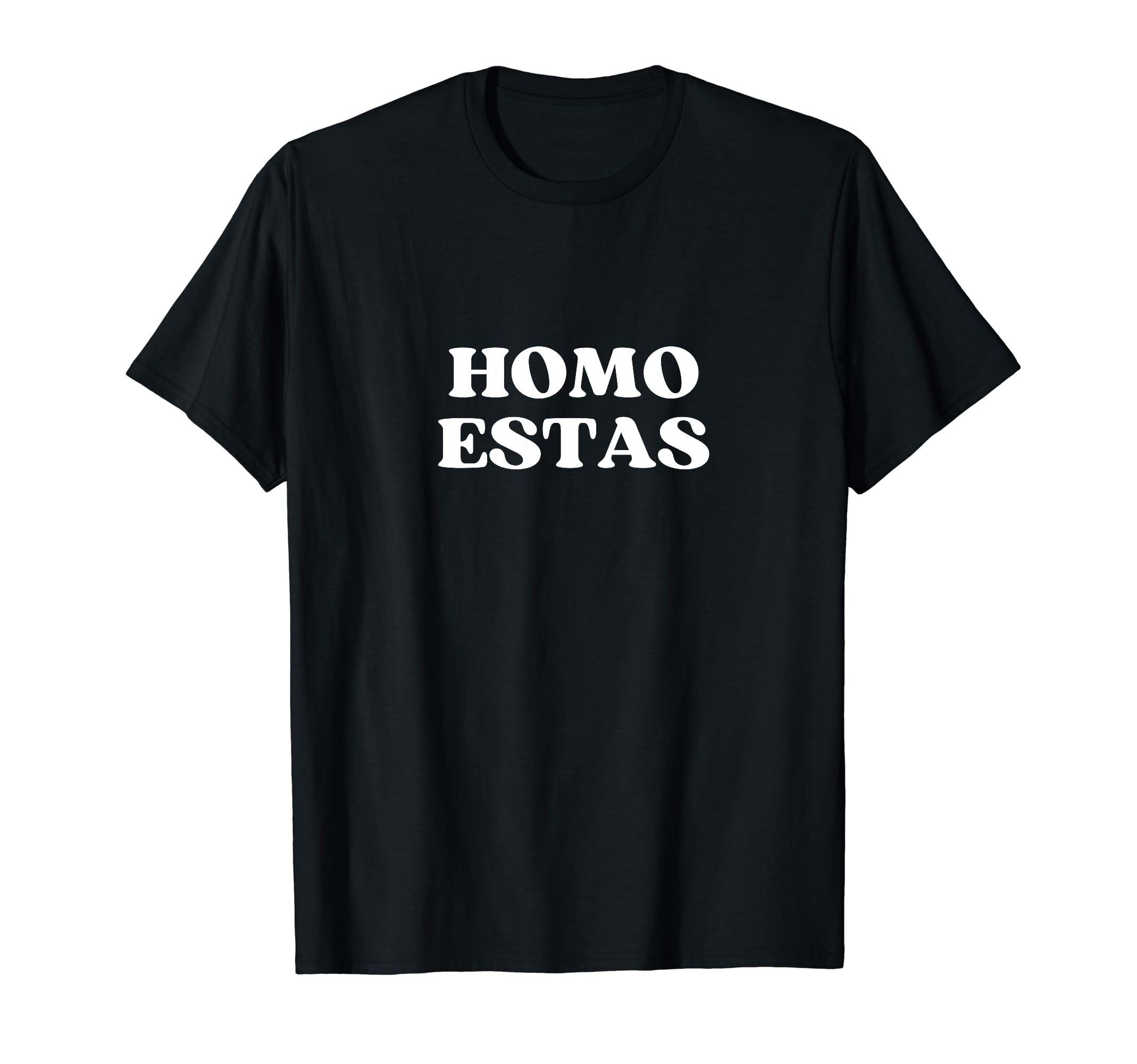 Homo Estas Y2K Aesthetic Lgbtq T-Shirt - Streetwear Style Men Women - T-Shirt, Sweatshirt, Hoodie