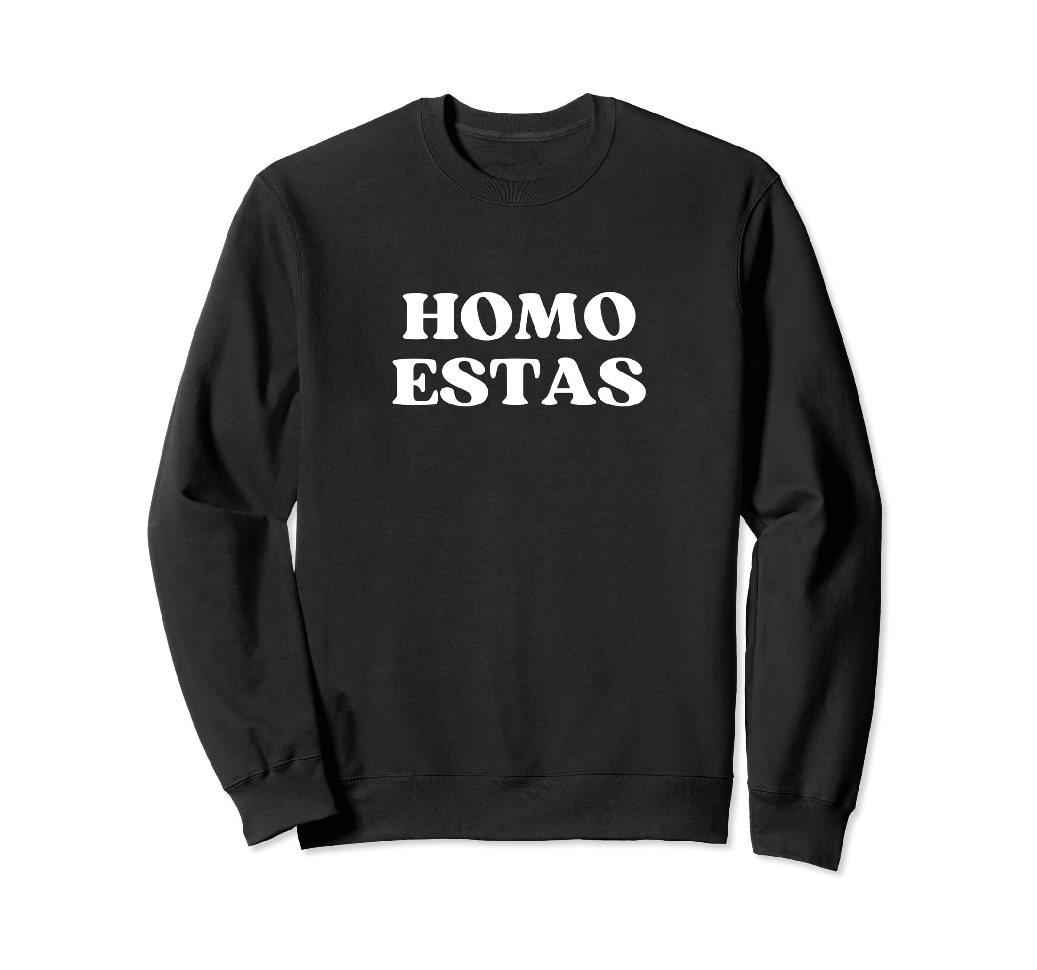 Homo Estas Y2K Aesthetic Lgbtq Sweatshirt - Casual Everyday Wear for Adults - T-Shirt, Sweatshirt, Hoodie