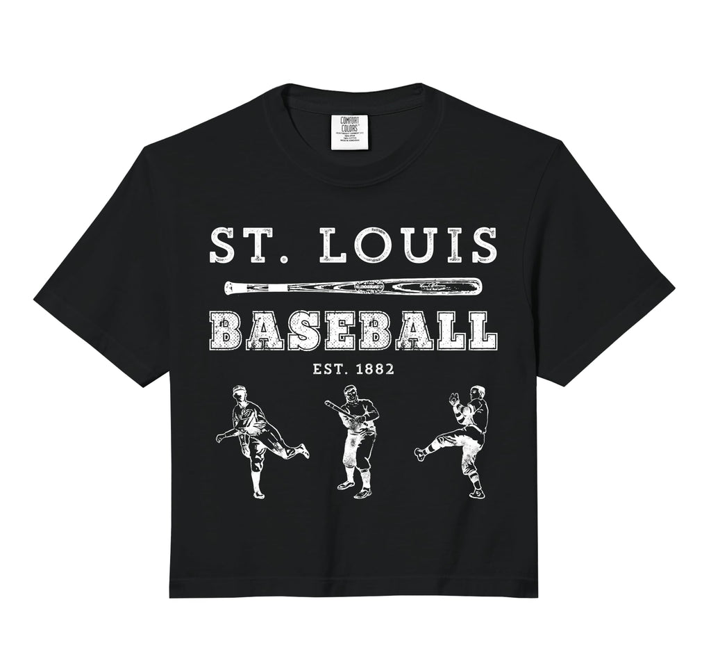 St Louis Missouri Baseball Fan Comfort Hoodie - Novelty Apparel for Adults - T-Shirt, Sweatshirt, Hoodie