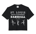 St Louis Missouri Baseball Fan Comfort Hoodie - Novelty Apparel for Adults - T-Shirt, Sweatshirt, Hoodie