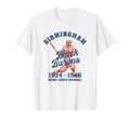 Negro League Baseball Birmingham T-Shirt - Aesthetic Graphic for Adults - T-Shirt, Sweatshirt, Hoodie