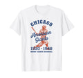 Negro League Baseball Chicago Illinois T-Shirt - Trendy Graphic for Adults - T-Shirt, Sweatshirt, Hoodie