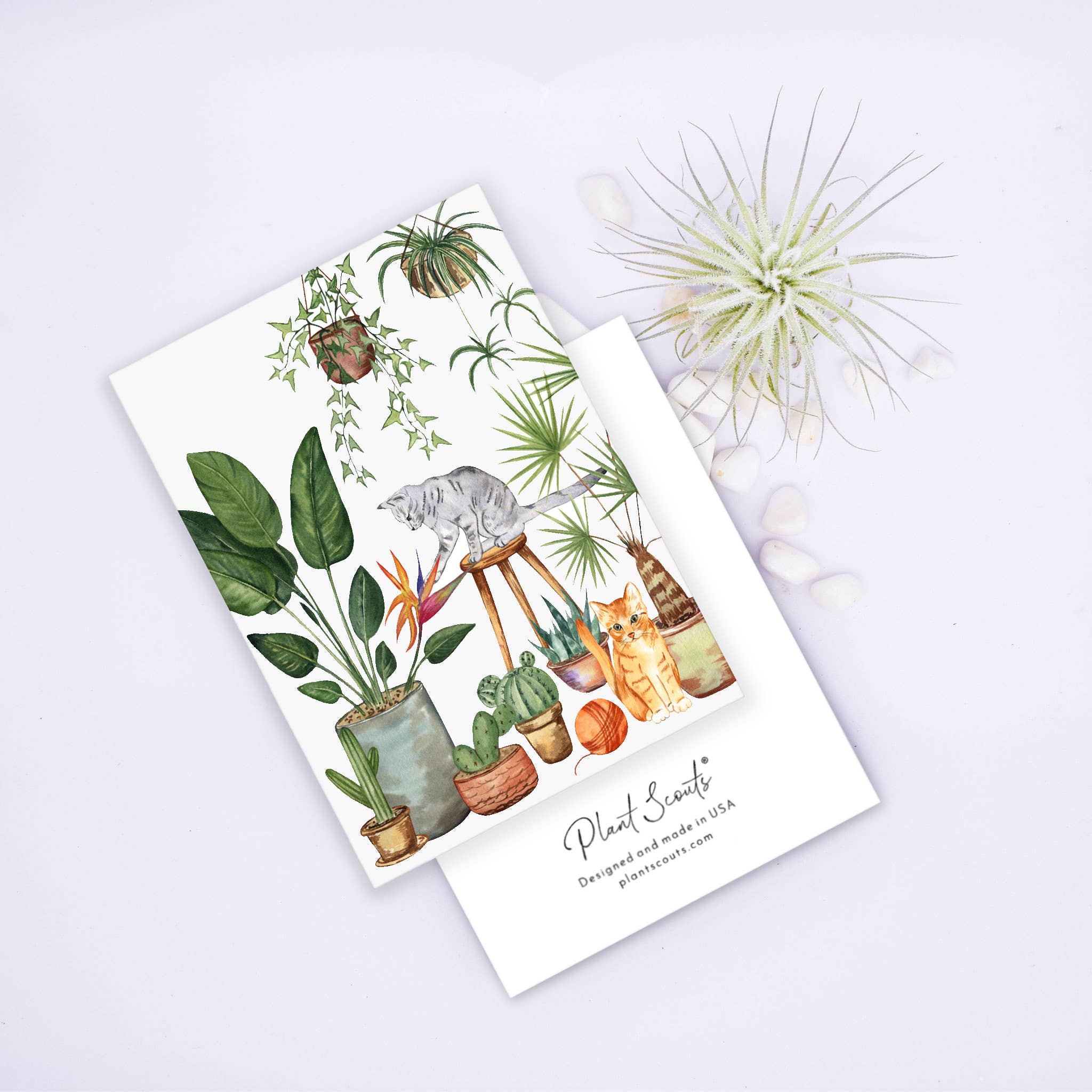 Plants and Cats Greeting Card - Adult & Kids T-Shirts, Sweatshirts & Hoodies apparel design preview 1