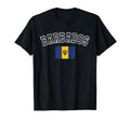 Barbados Flag Distressed Heritage T-Shirt - Graphic Print for Adults - T-Shirt, Sweatshirt, Hoodie