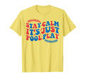 Baseball Stay Calm Its Just Pool Play T-Shirt - Unique Graphic for Adults - T-Shirt, Sweatshirt, Hoodie