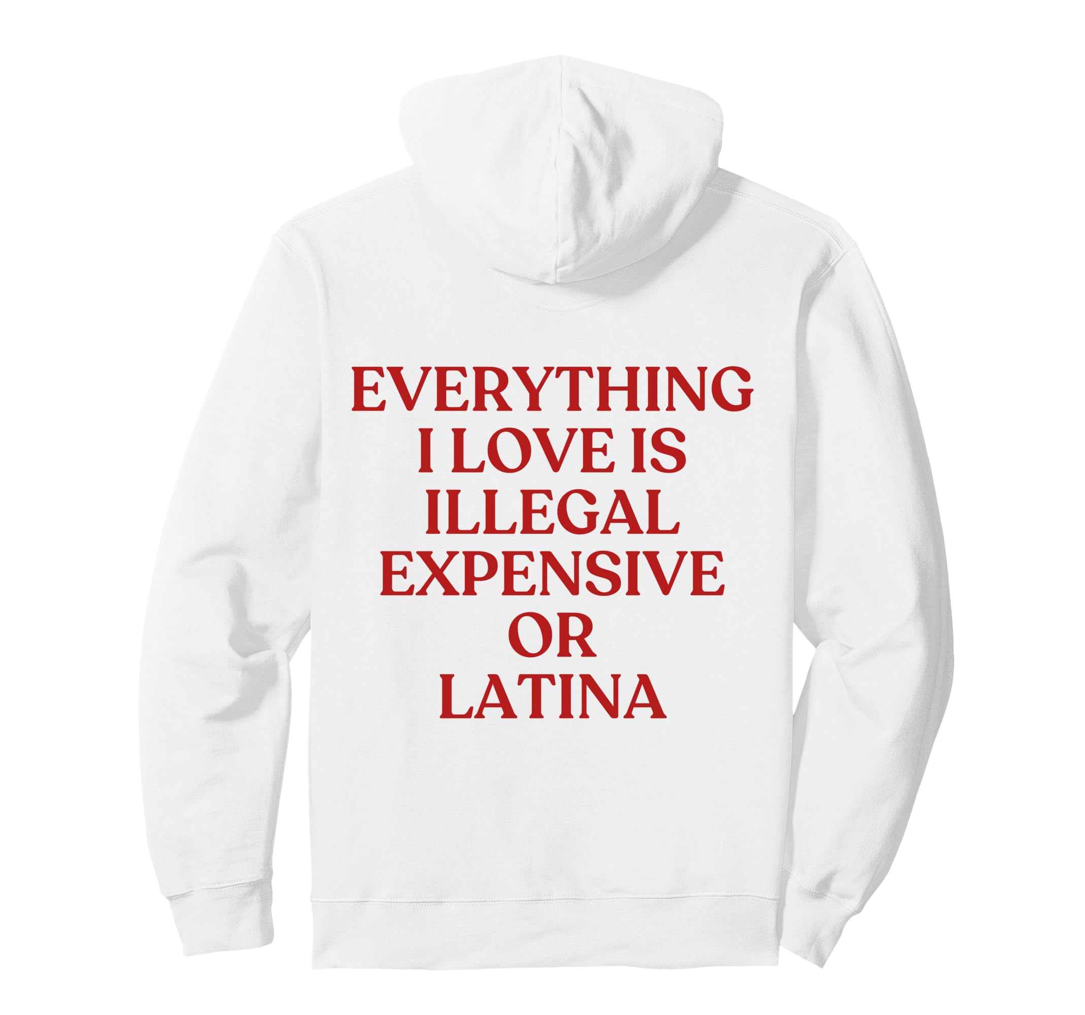 Everything I Love Is Illegal Expensive Hoodie - Trendy Graphic for Adults - T-Shirt, Sweatshirt, Hoodie