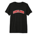 Cortland New York Varsity T-Shirt - Custom Art Print Men Women - T-Shirt, Sweatshirt, Hoodie