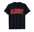 Salisbury Varsity Uk Sports T-Shirt - Graphic Print for Adults - T-Shirt, Sweatshirt, Hoodie