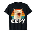 Eepy Cat Meme Sunset Aesthetic T-Shirt - Minimalist Print for Adults - T-Shirt, Sweatshirt, Hoodie