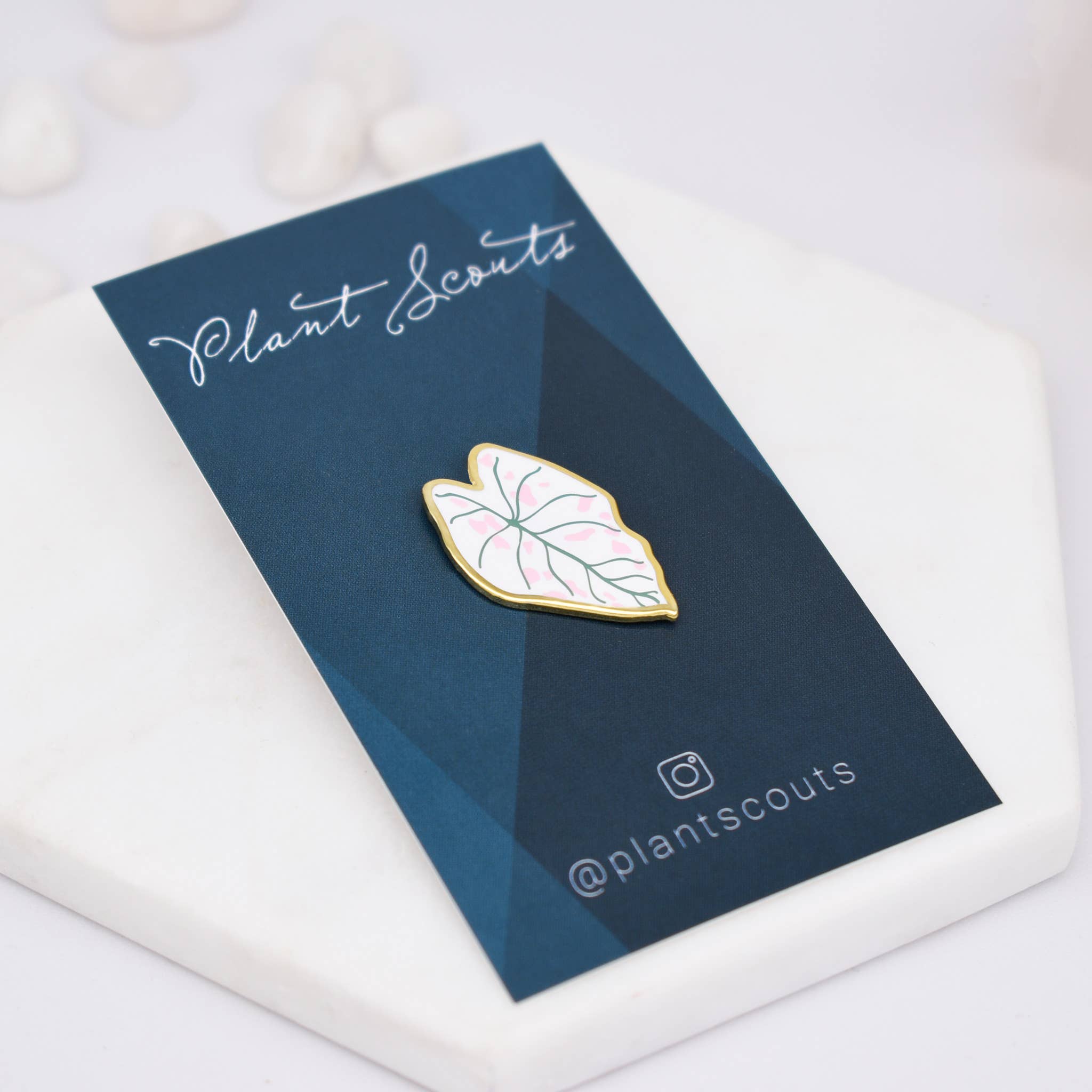 Caladium Plant Enamel Pin - Adult & Kids T-Shirts, Sweatshirts & Hoodies apparel design preview 1