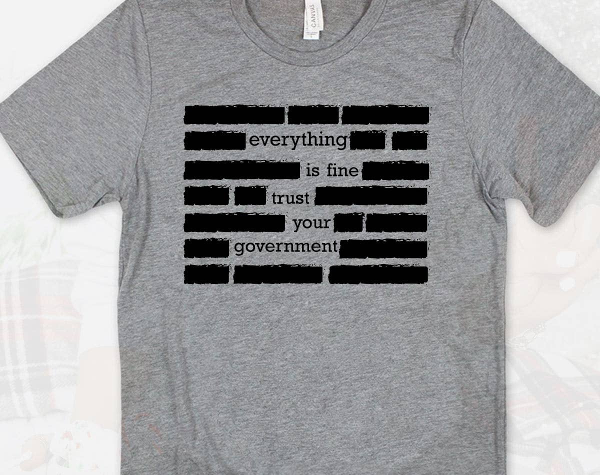 Everything Is Fine Trust Your Government Satire - Adult & Kids T-Shirts, Sweatshirts & Hoodies apparel design preview 1