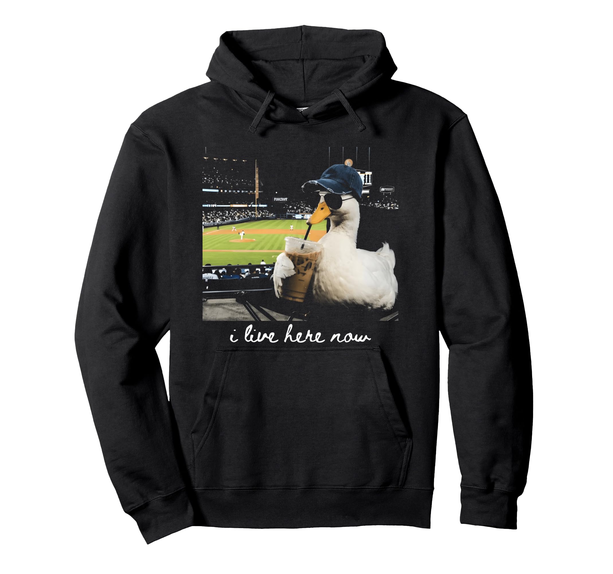 Funny Goose Ballfield Baseball Field I Hoodie - Minimalist Print Unisex - T-Shirt, Sweatshirt, Hoodie