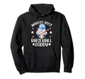 Funny Fathers Day Baseball Gnome Hoodie - Aesthetic Graphic for Adults - T-Shirt, Sweatshirt, Hoodie
