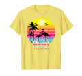 Stuart Florida Fl Summer Sunset Seagulls T-Shirt - Custom Art Print Unisex - T-Shirt, Sweatshirt, Hoodie