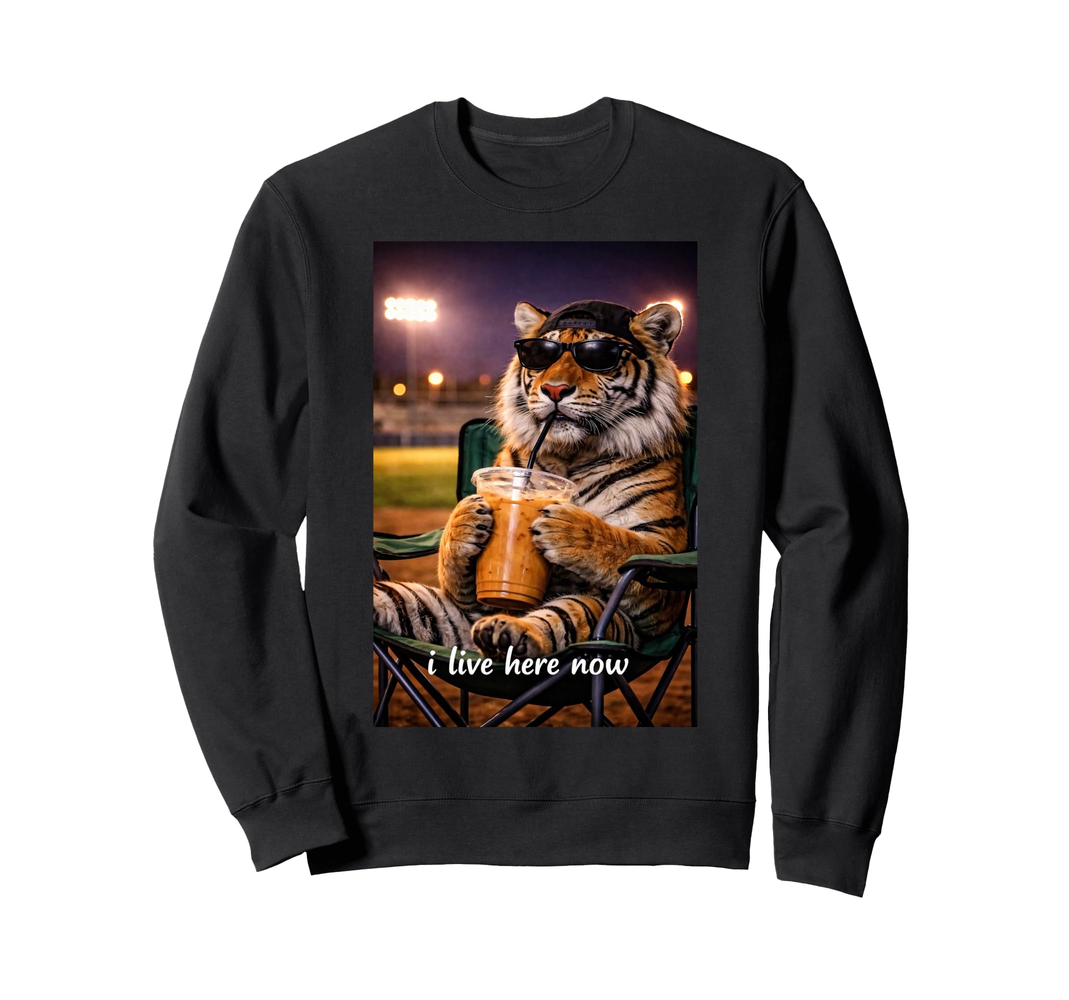 Funny Tiger Ballfield Baseball Sweatshirt - Casual Everyday Wear Men Women - T-Shirt, Sweatshirt, Hoodie