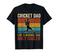 Cricket Dad Like Normal Dad Only T-Shirt - Aesthetic Graphic for Adults - T-Shirt, Sweatshirt, Hoodie