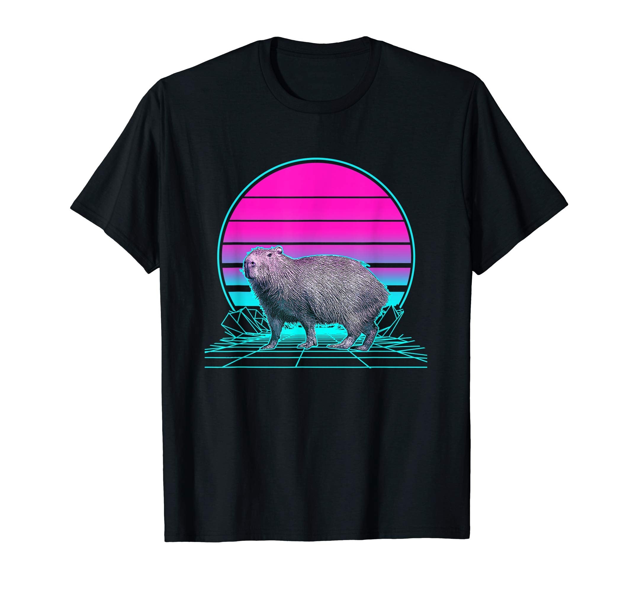 Sunset Capybara T-Shirt - Minimalist Print for Adults - T-Shirt, Sweatshirt, Hoodie