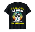 Pe Teachers School Funny Llama Sunset T-Shirt - Novelty Apparel Men Women - T-Shirt, Sweatshirt, Hoodie