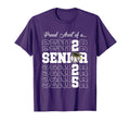 Senior 2025 Baseball Aunt Gift T-Shirt - Aesthetic Graphic for Adults - T-Shirt, Sweatshirt, Hoodie