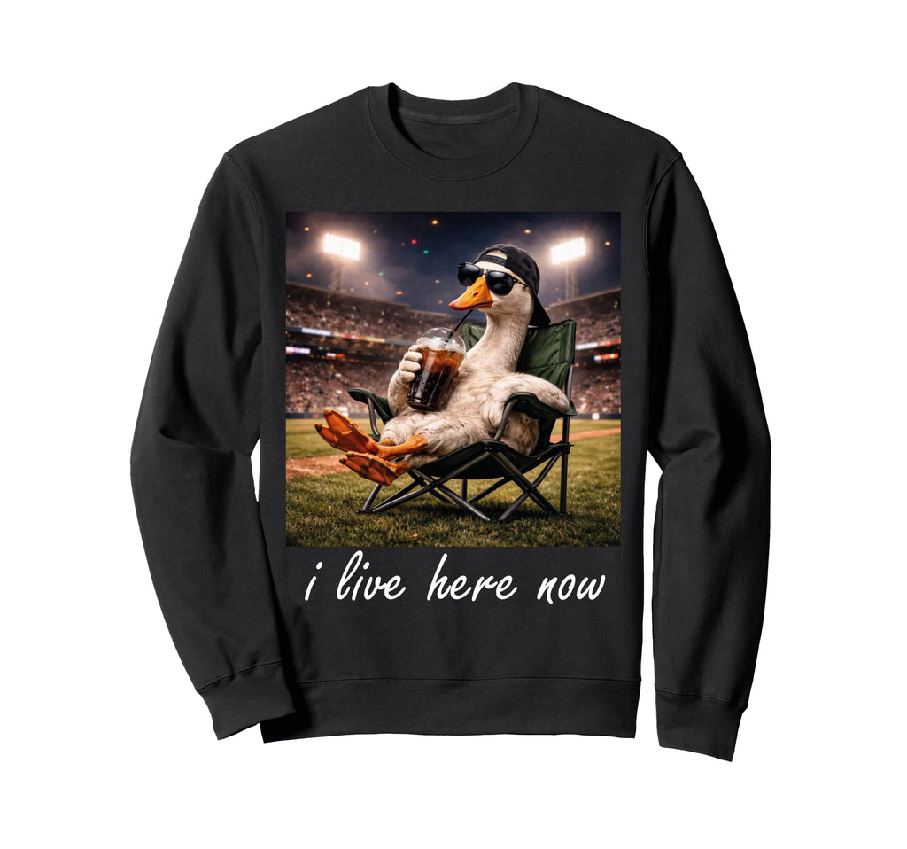 Funny Goose Ballfield Baseball Sweatshirt - Minimalist Print Men Women - T-Shirt, Sweatshirt, Hoodie