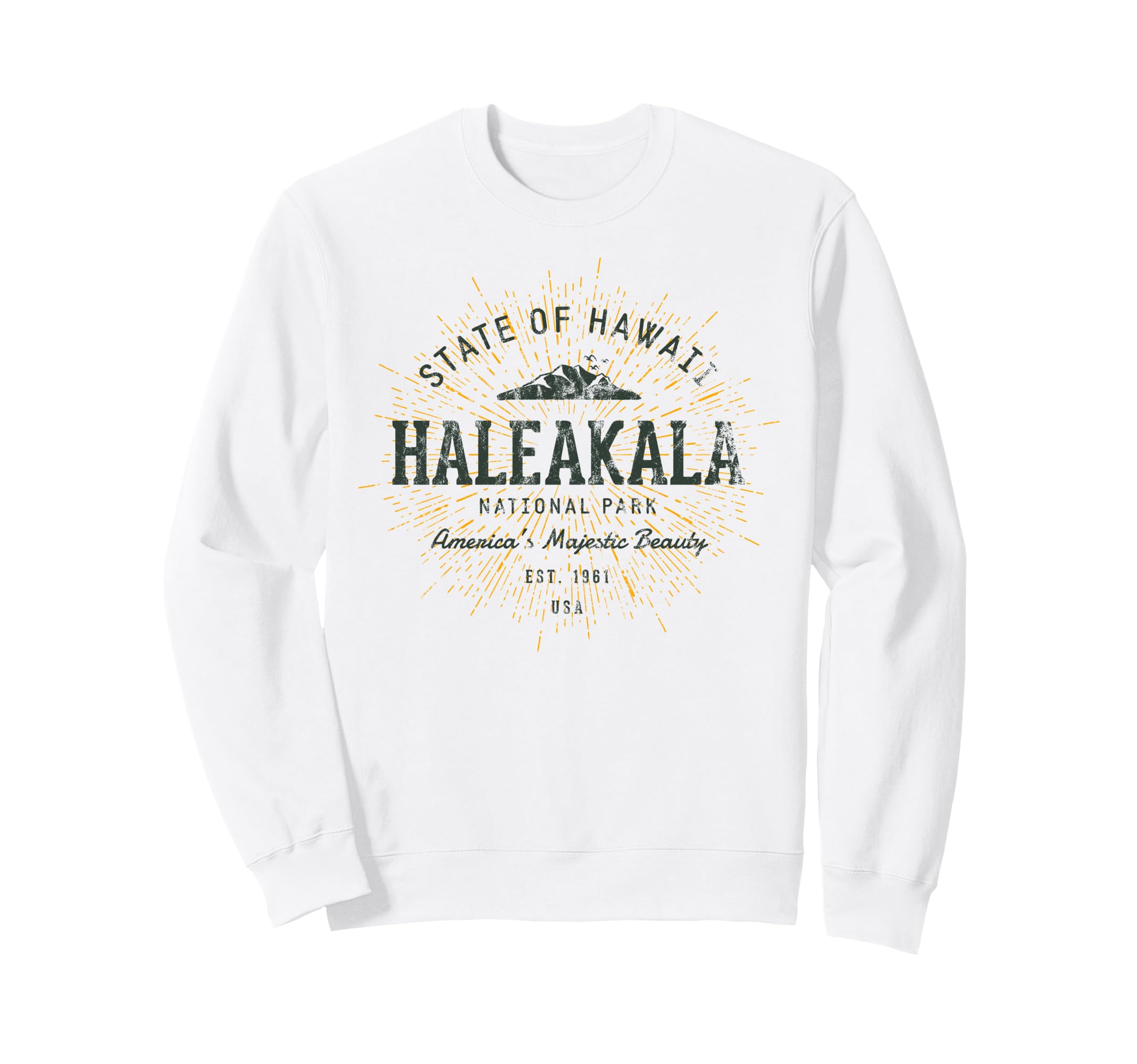Haleakala National Park Sweatshirt - Custom Art Print for Adults - T-Shirt, Sweatshirt, Hoodie