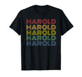 Harold Name Rainbow 70S Typography T-Shirt - Fun Novelty Design for Adults - T-Shirt, Sweatshirt, Hoodie