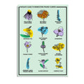Midwestern Prairie Flowers Postcard - Adult & Kids T-Shirts, Sweatshirts & Hoodies apparel design preview 1