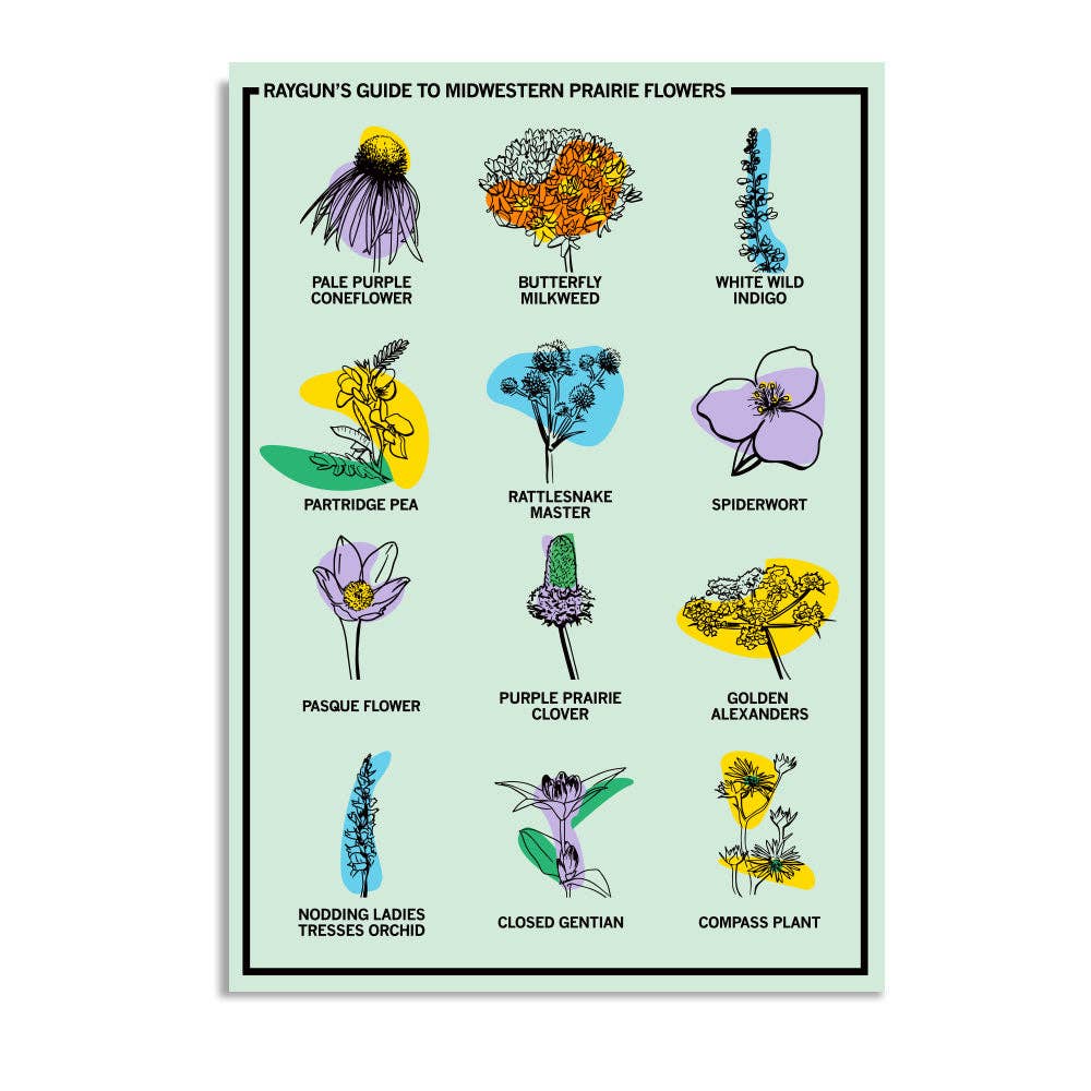 Midwestern Prairie Flowers Postcard - Adult & Kids T-Shirts, Sweatshirts & Hoodies apparel design preview 1