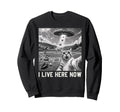 Cat Selfie Ufo Ballfield Sweatshirt - Aesthetic Graphic for Adults - T-Shirt, Sweatshirt, Hoodie