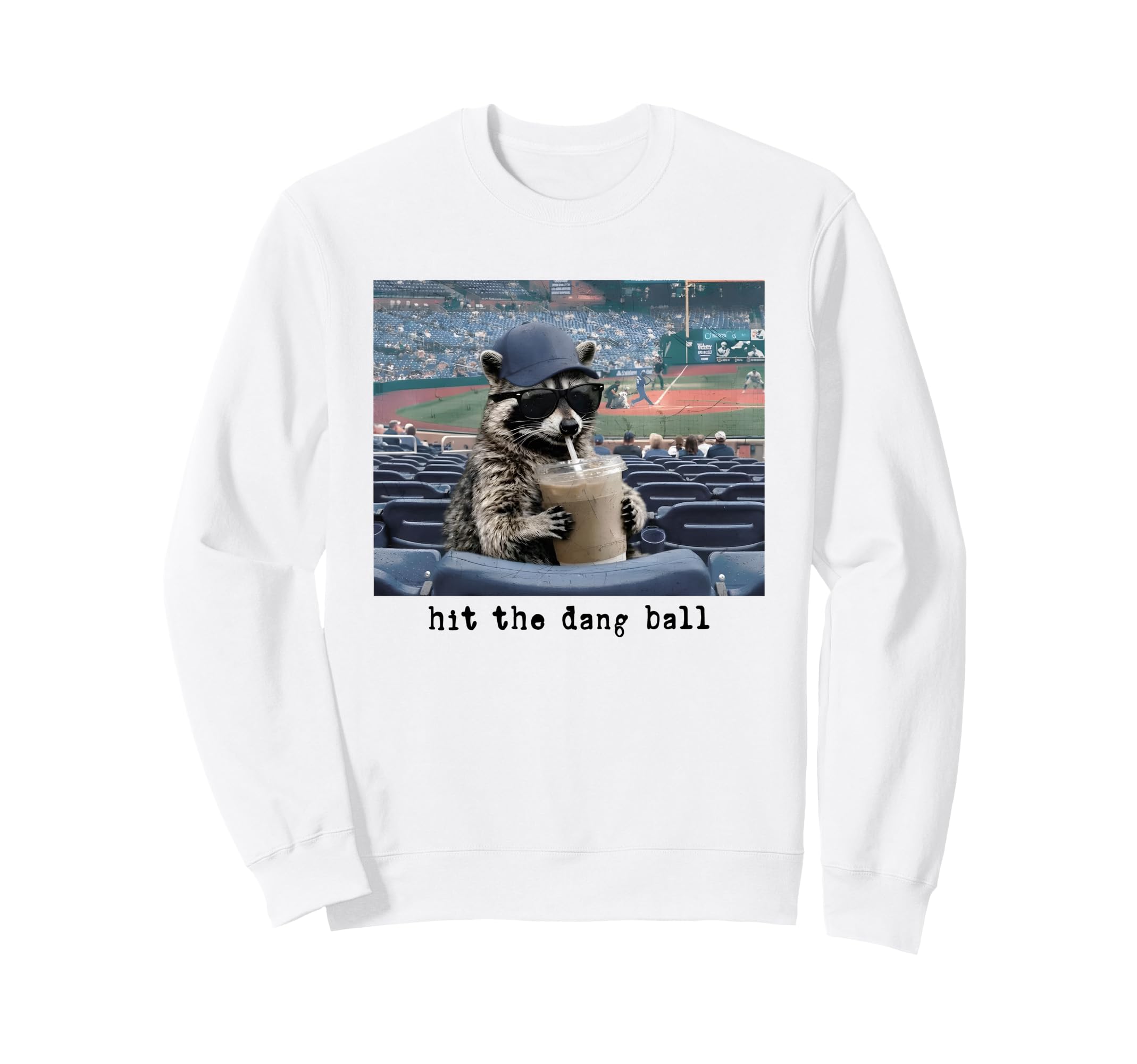Hit Dang Ball Racoon Funny Sweatshirt - Custom Art Print Men Women - T-Shirt, Sweatshirt, Hoodie