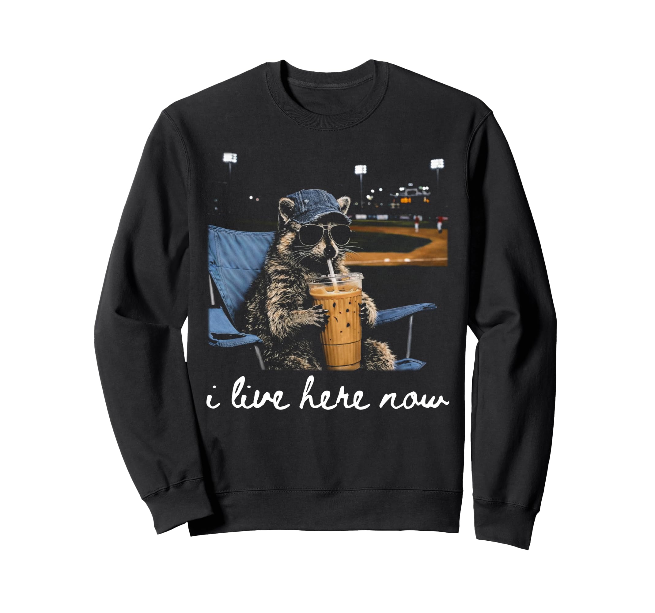 Funny Raccoon Baseball Iced Sweatshirt - Custom Art Print for Adults - T-Shirt, Sweatshirt, Hoodie