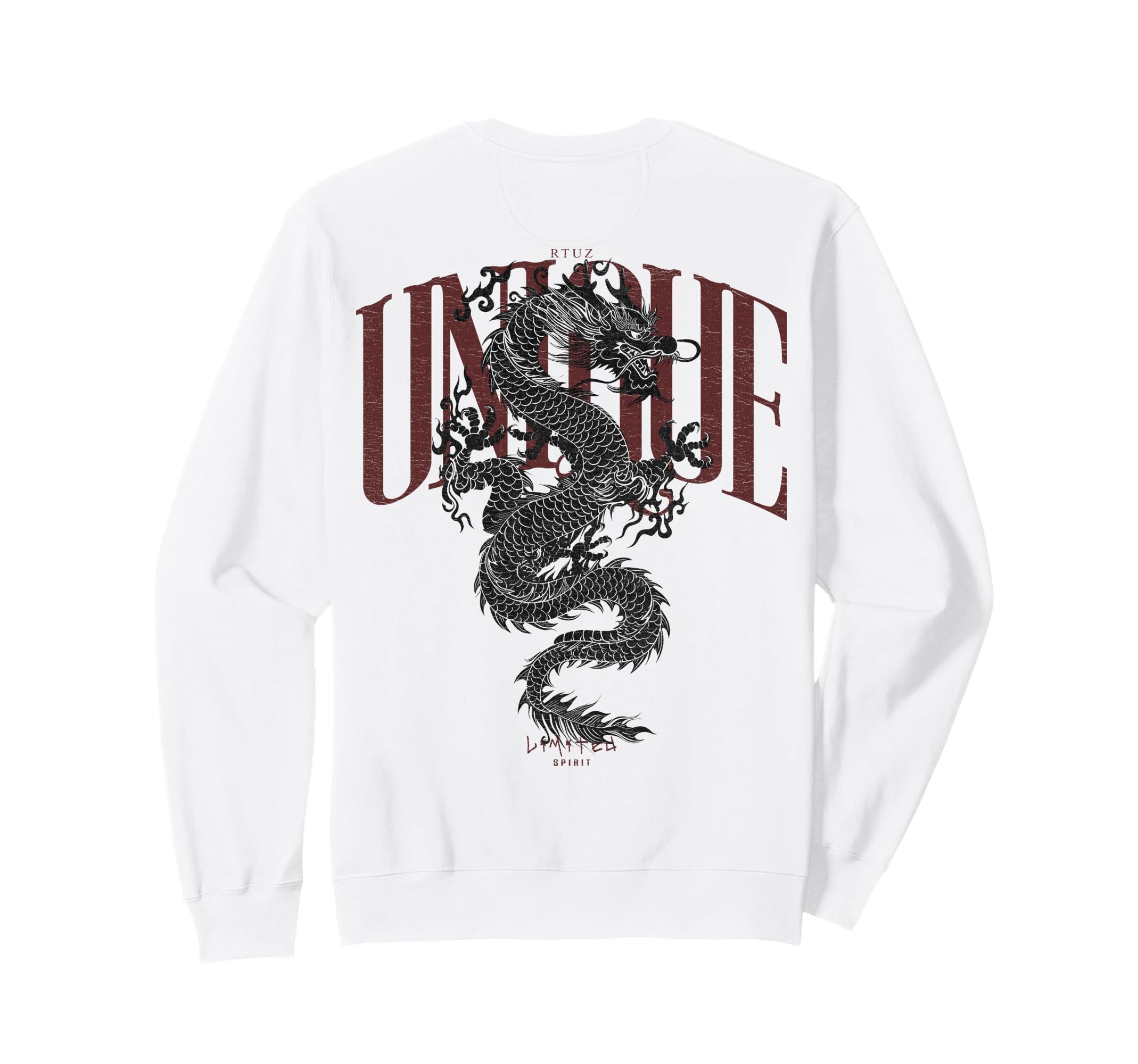 Aesthetic Back Dragon Y2K Sweatshirt - Fun Novelty Design Men Women - T-Shirt, Sweatshirt, Hoodie