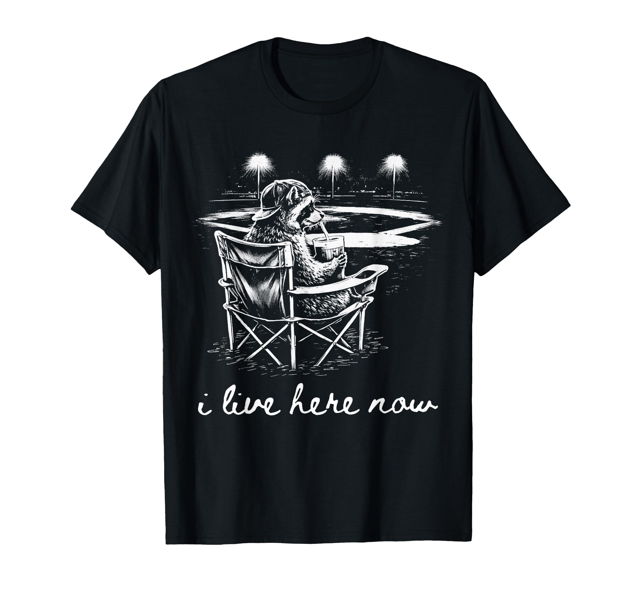 Raccoon Ballfield Baseball Field I T-Shirt - Unique Graphic for Adults - T-Shirt, Sweatshirt, Hoodie