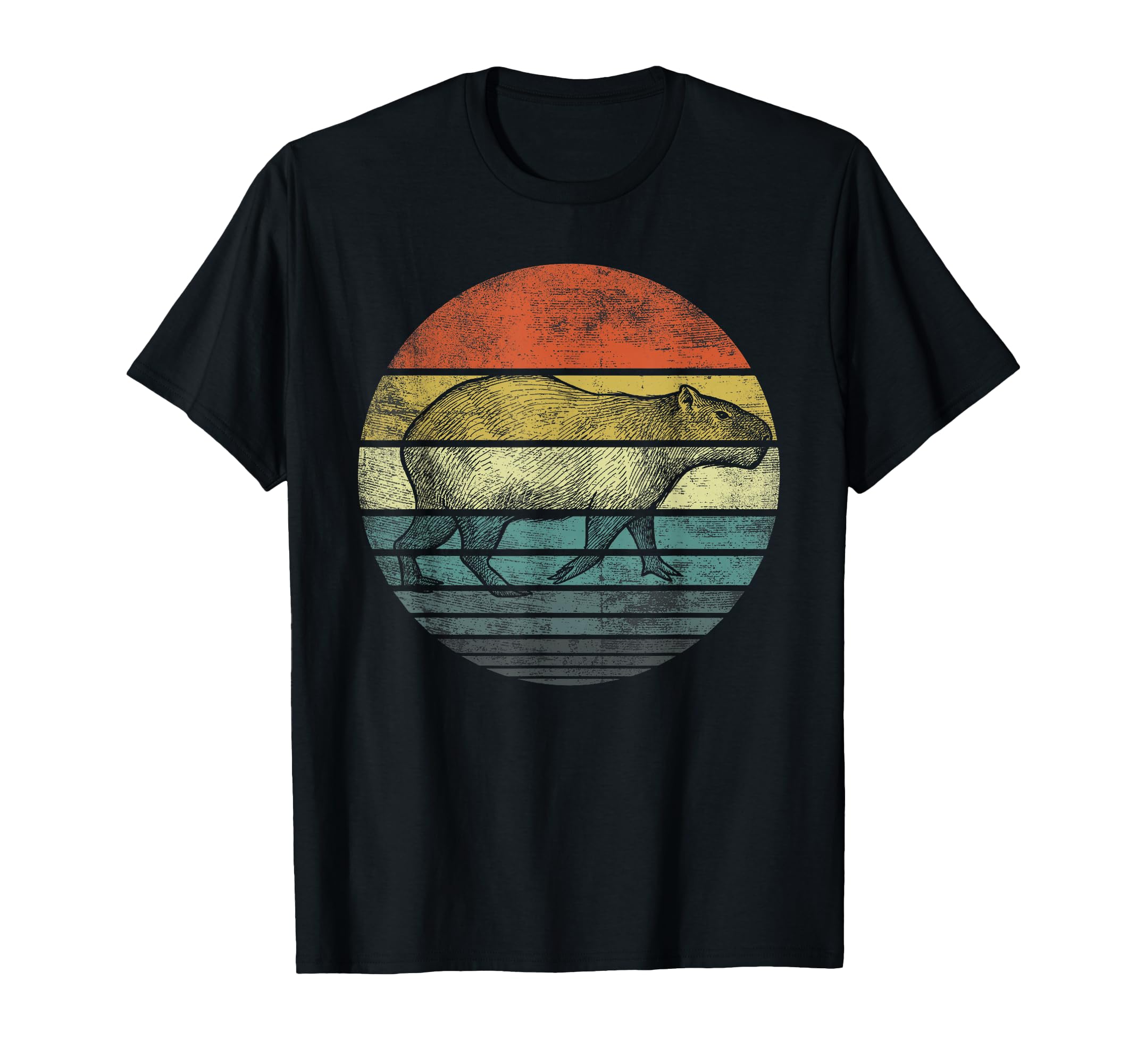 Capybara Gifts Sunset Animal Lover T-Shirt - Aesthetic Graphic Men Women - T-Shirt, Sweatshirt, Hoodie