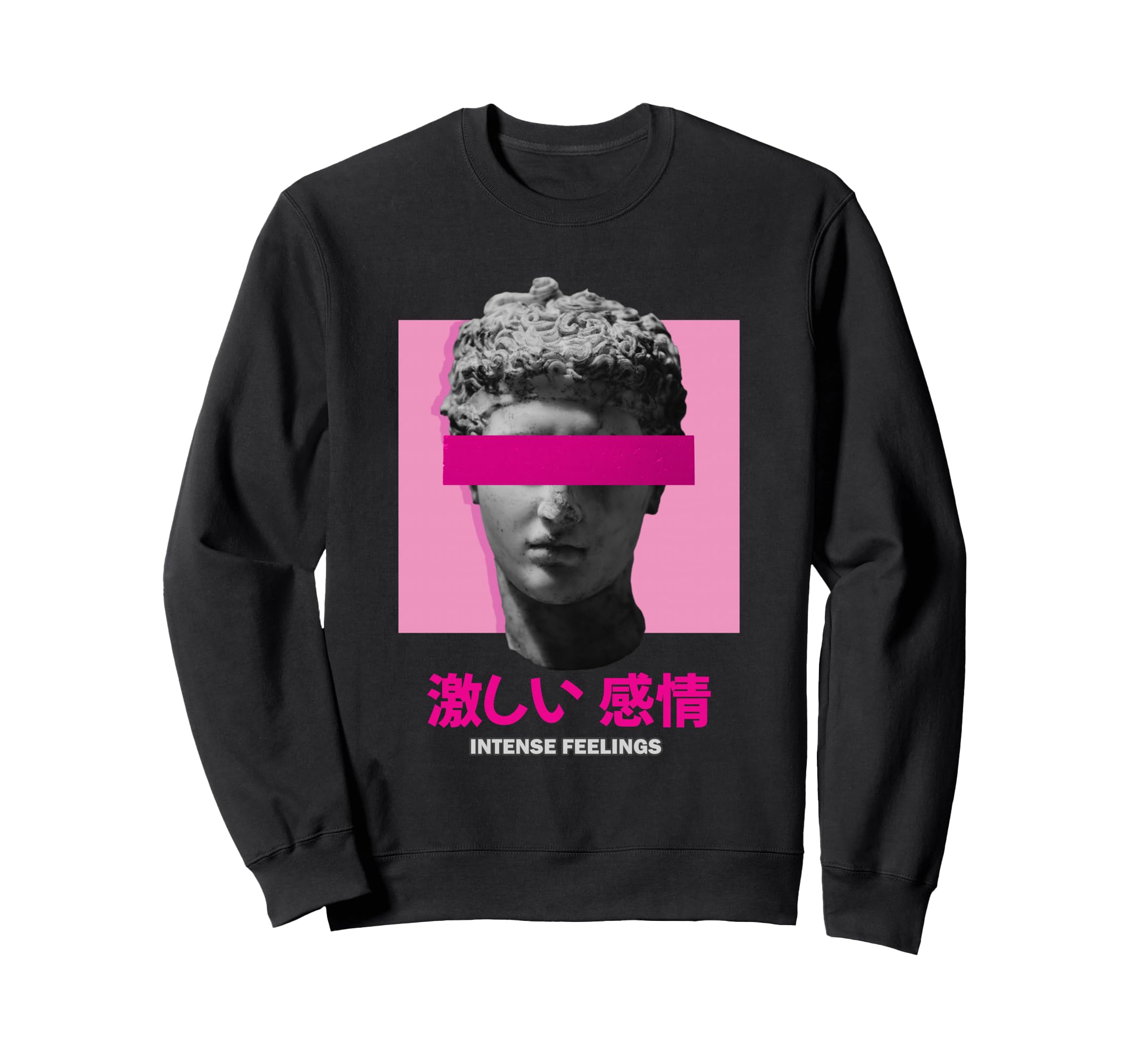 Intense Feelings Japanese Sweatshirt - Aesthetic Graphic for Adults - T-Shirt, Sweatshirt, Hoodie