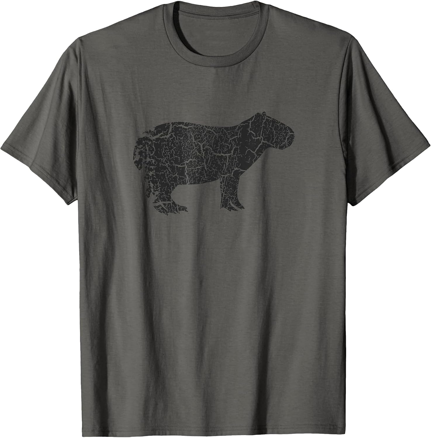 Vintage Capybara Merch and Gifts - Adult & Kids T-Shirts, Sweatshirts & Hoodies apparel design preview 1
