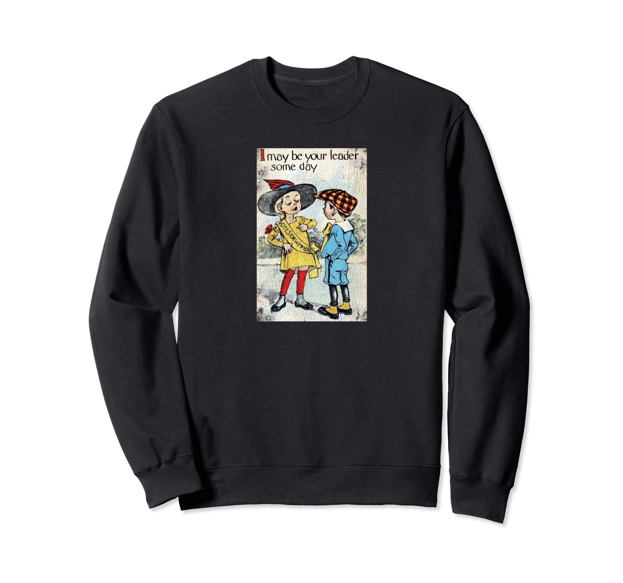 19Th Amendment 100 Year Sweatshirt - Casual Everyday Wear Men Women - T-Shirt, Sweatshirt, Hoodie