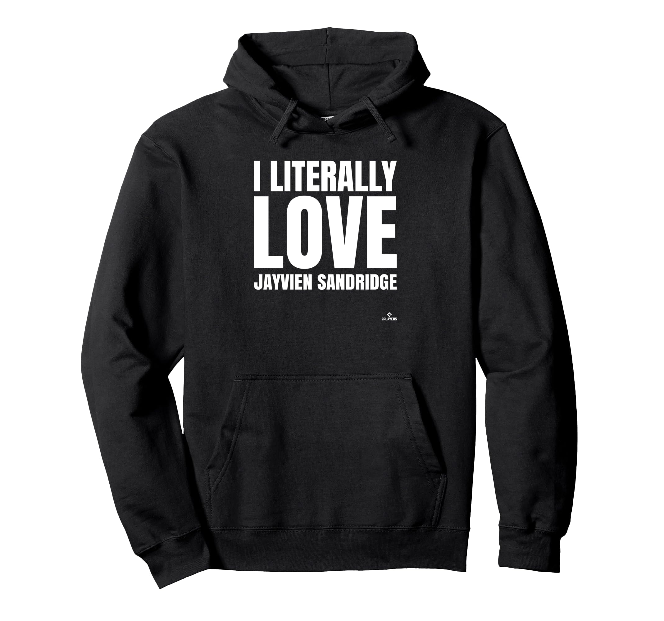 I Literally Love Jayvien Sandridge Hoodie - Minimalist Print for Adults - T-Shirt, Sweatshirt, Hoodie