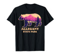 Bear Allegheny National Forest T-Shirt - Minimalist Print for Adults - T-Shirt, Sweatshirt, Hoodie