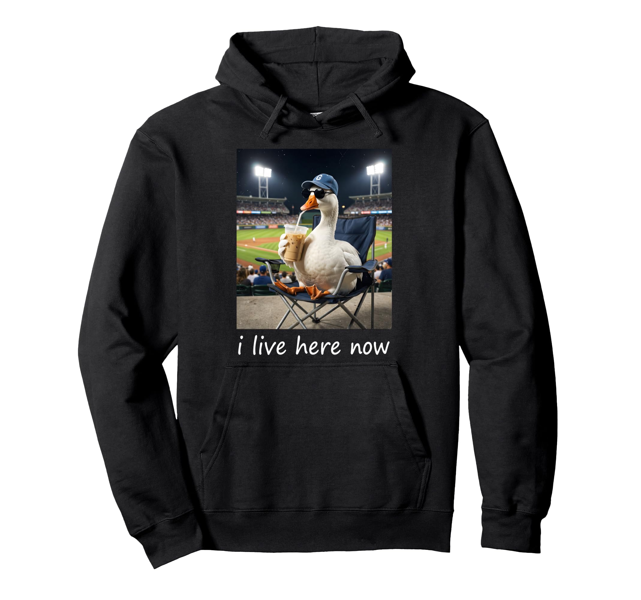 Funny Goose Ballfield Baseball Field I Hoodie - Streetwear Style Men Women - T-Shirt, Sweatshirt, Hoodie