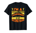 Baseball Coaching Trainer Training T-Shirt - Minimalist Print Unisex - T-Shirt, Sweatshirt, Hoodie