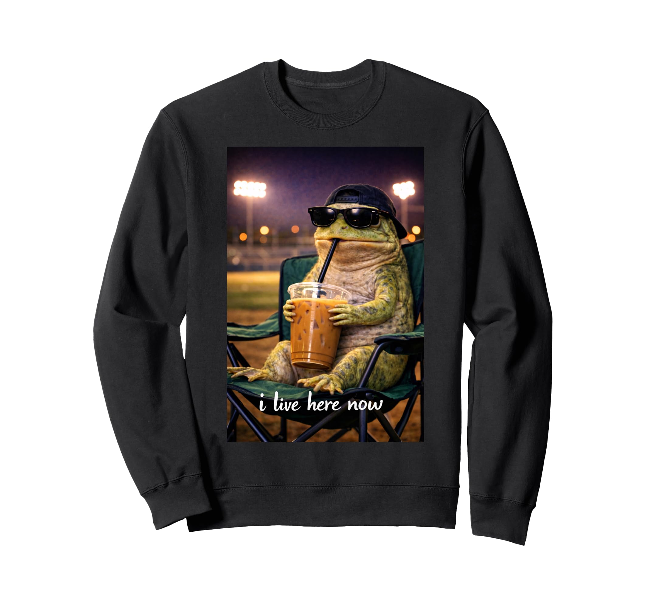 Funny Frog Ballfield Baseball Field Sweatshirt - Novelty Apparel Men Women - T-Shirt, Sweatshirt, Hoodie