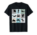 90S Sea Animal Aesthetic Dolphin Beach T-Shirt - Novelty Apparel Unisex - T-Shirt, Sweatshirt, Hoodie
