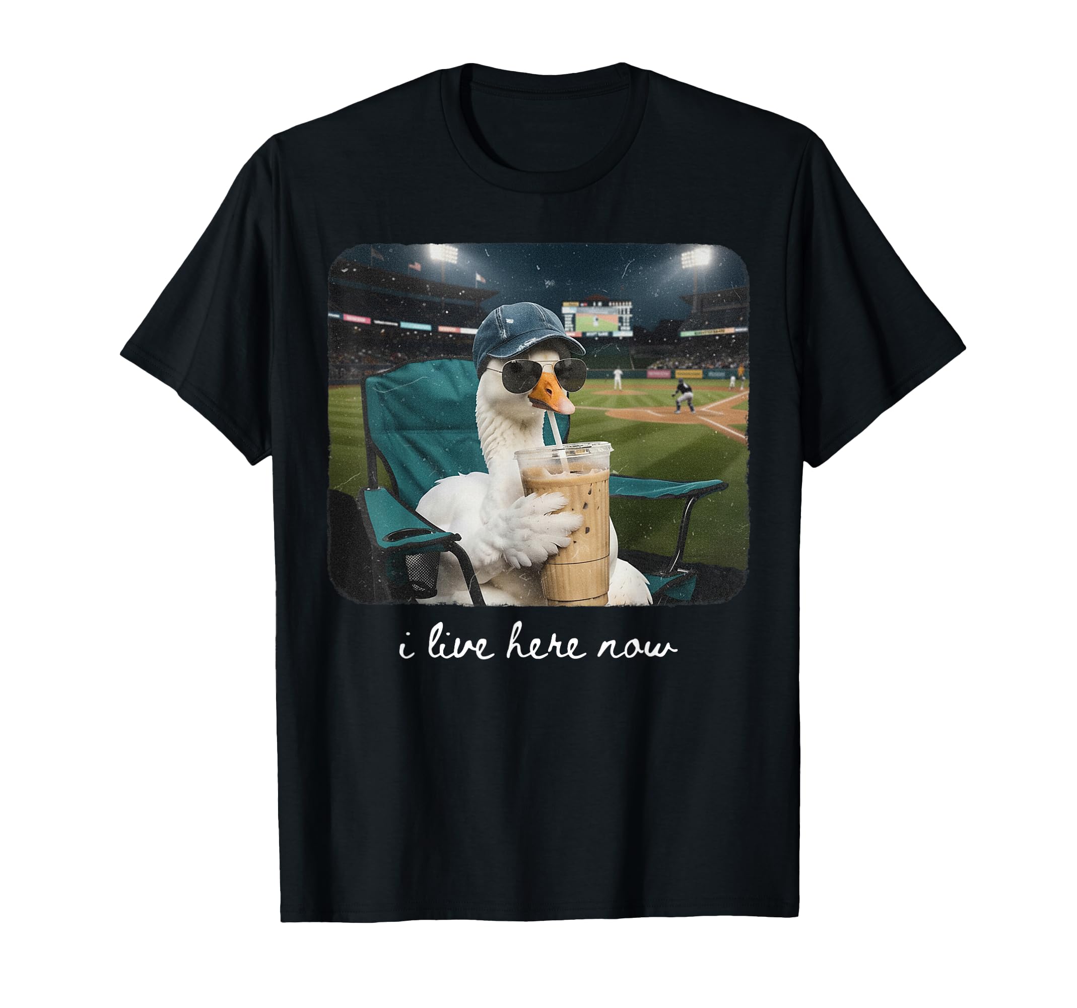Funny Goose Ballfield Baseball Field I T-Shirt - Novelty Apparel Unisex - T-Shirt, Sweatshirt, Hoodie