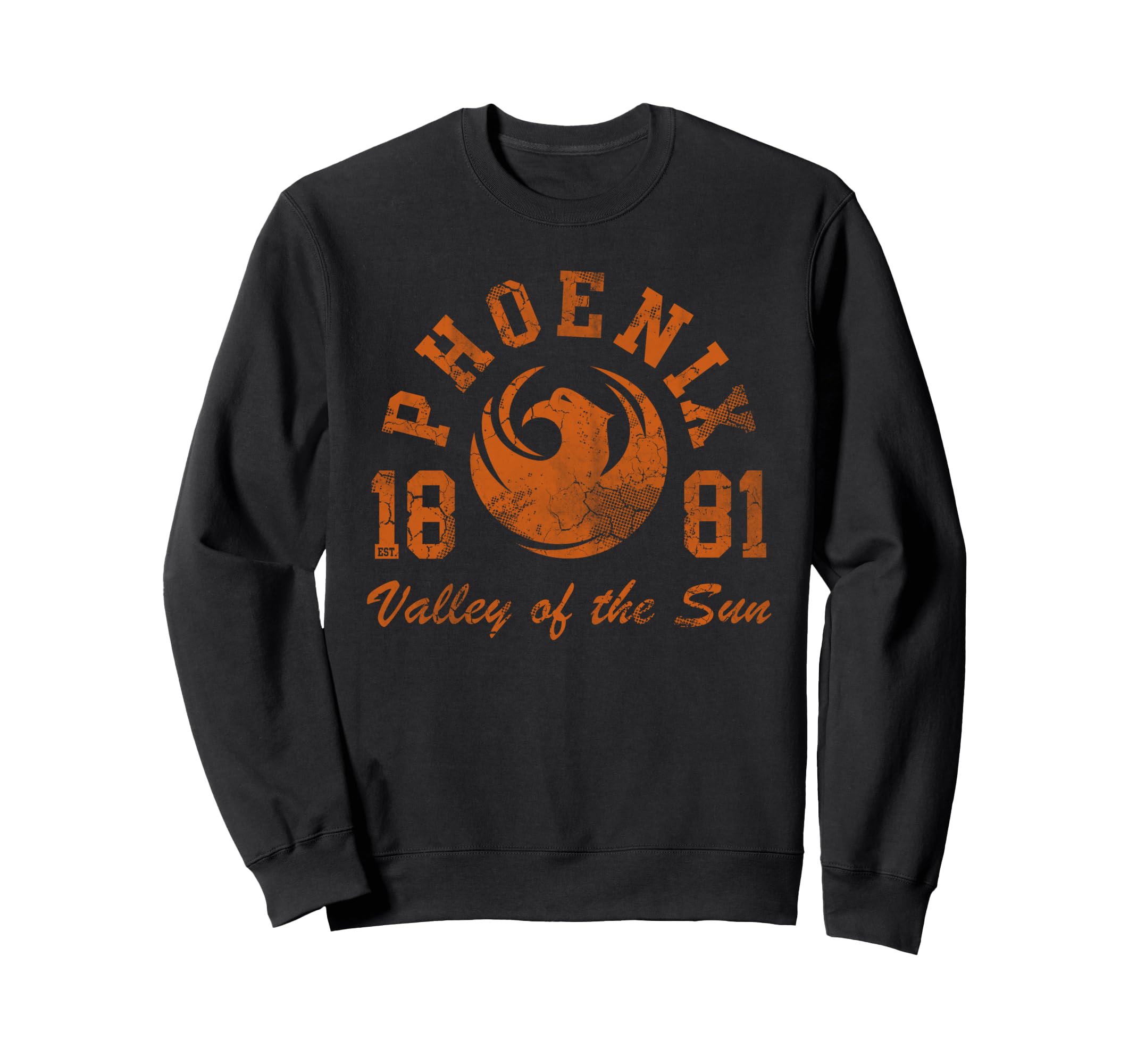 Phoenix Arizona Valley Sun Sweatshirt - Novelty Apparel for Adults - T-Shirt, Sweatshirt, Hoodie