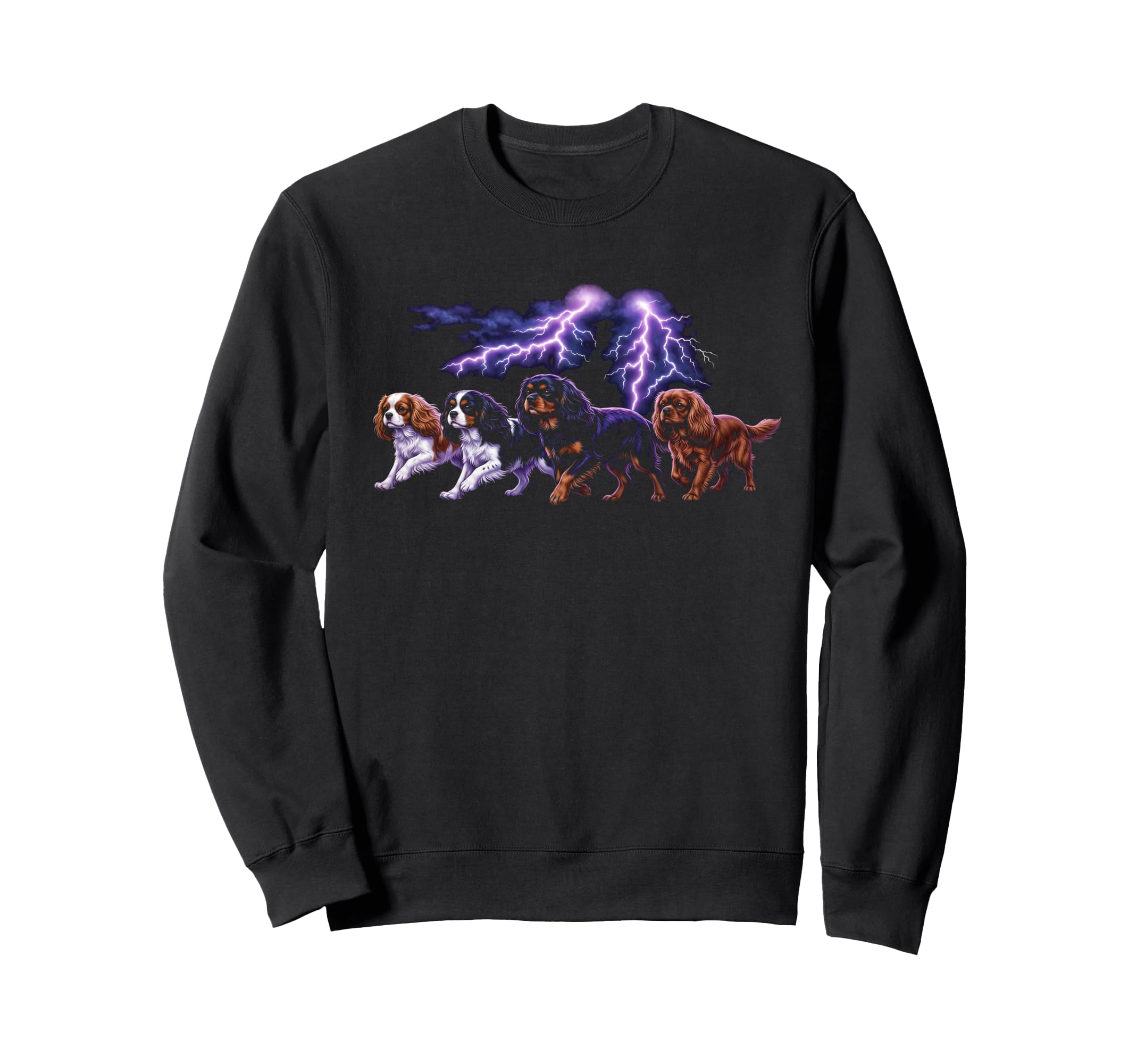 Cavalier King Charles Spaniel Sweatshirt - Casual Everyday Wear Men Women - T-Shirt, Sweatshirt, Hoodie