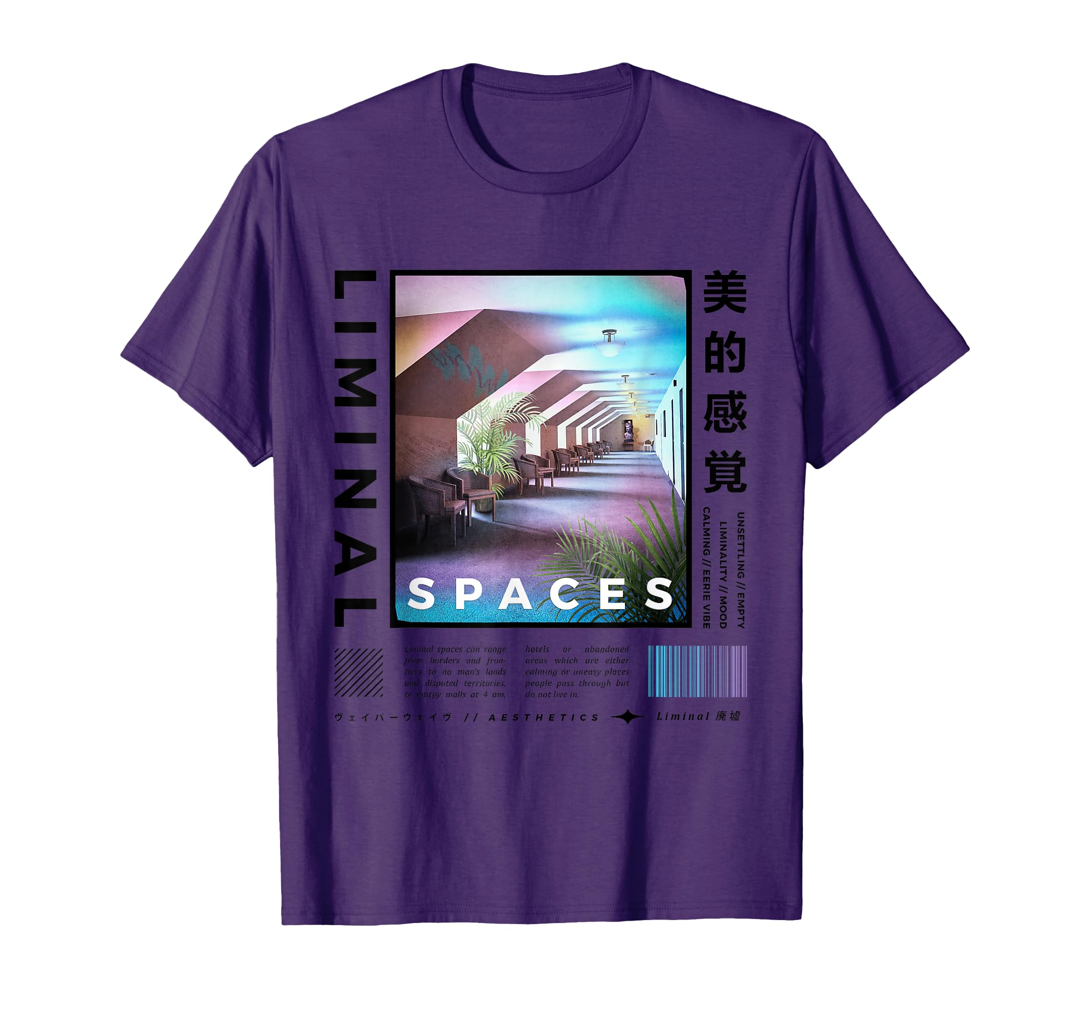 Liminal Spaces Internet 80S 90S T-Shirt - Minimalist Print for Adults - T-Shirt, Sweatshirt, Hoodie