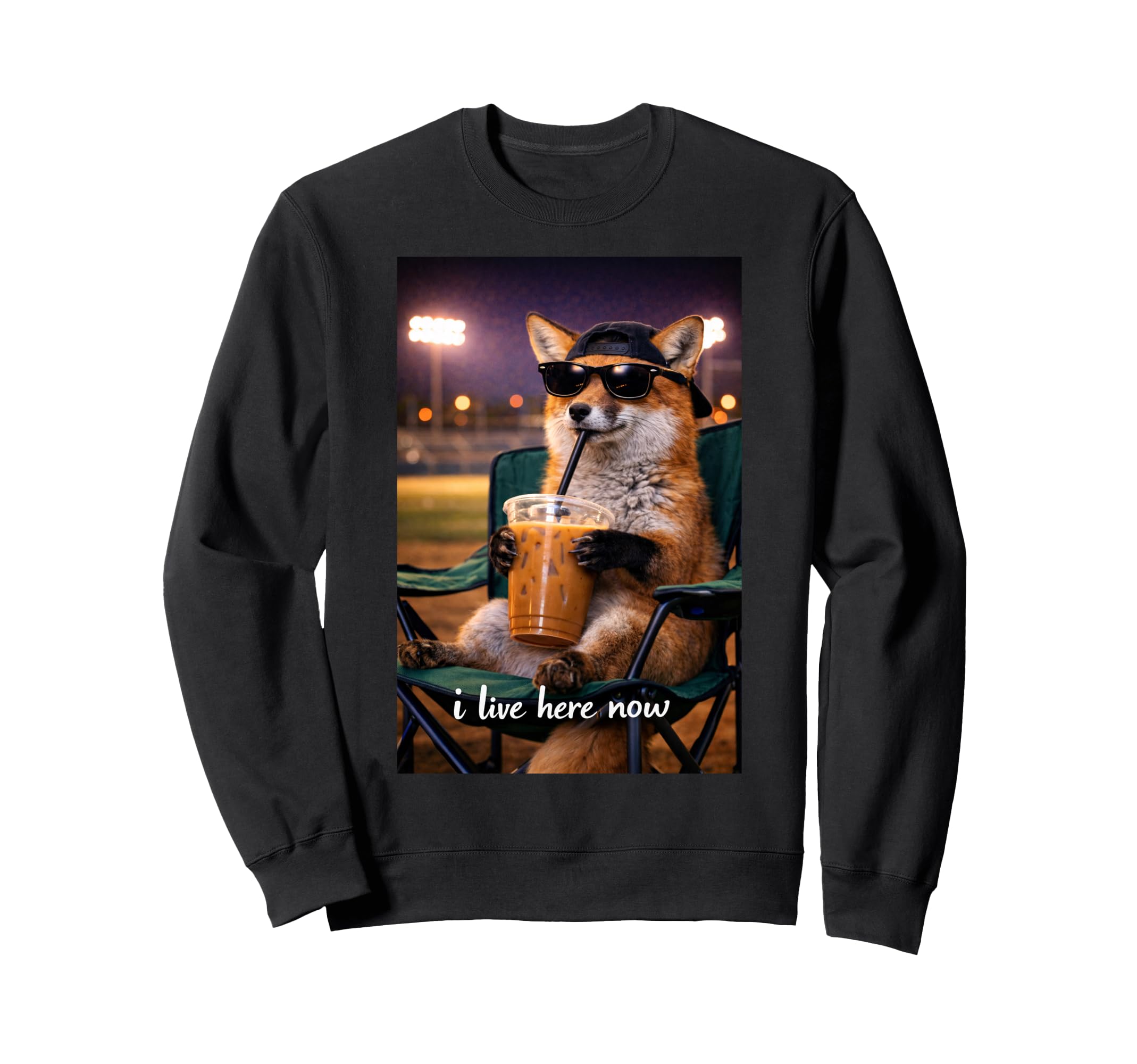 Funny Fox Ballfield Baseball Field Sweatshirt - Novelty Apparel Men Women - T-Shirt, Sweatshirt, Hoodie